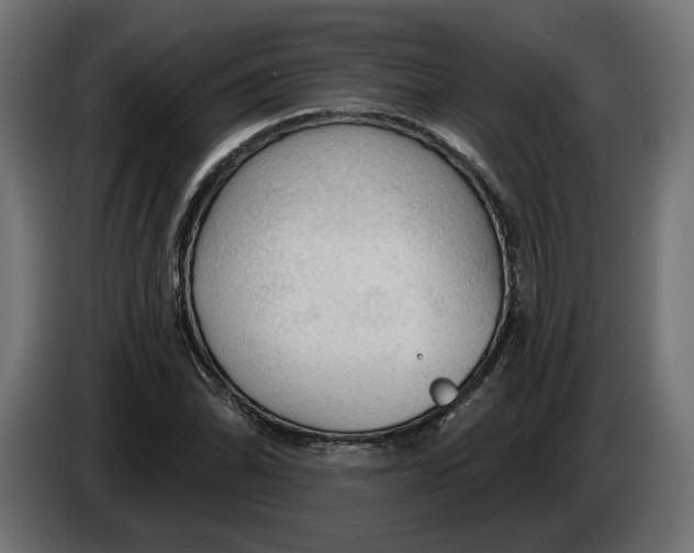 X0000083551070200703021644
