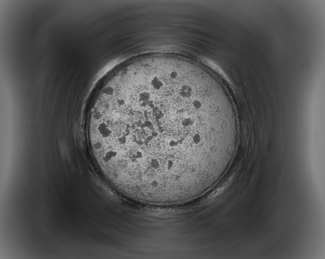 X0000083551071200703021644