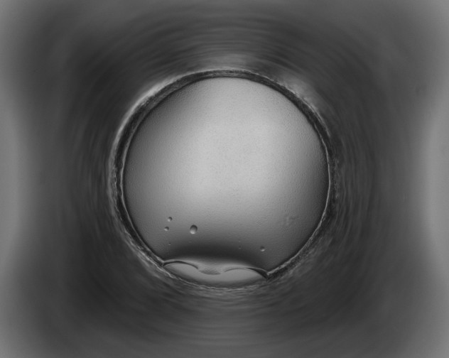 X0000083551072200703021644