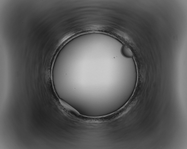 X0000083551073200703021644