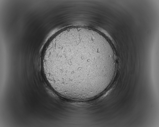 X0000083551075200703021644