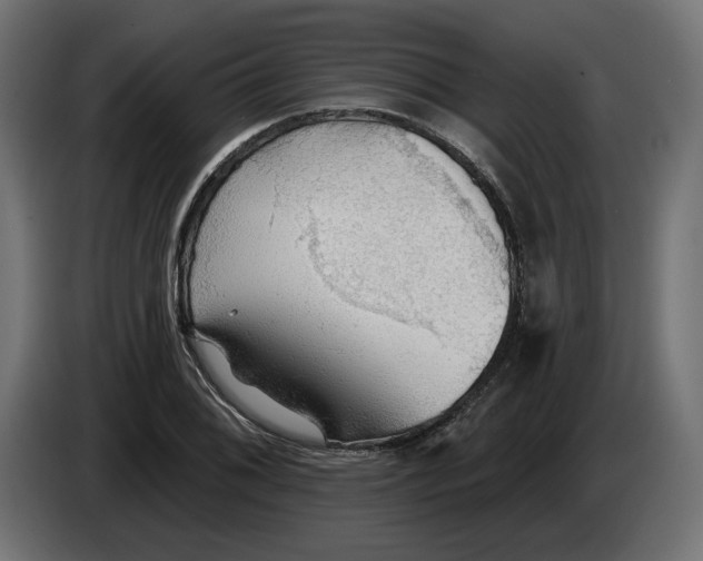 X0000083551076200703021644