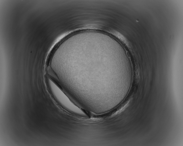 X0000083551077200703021644