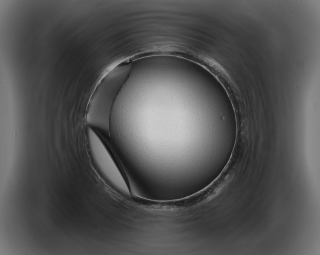 X0000083551081200703021644
