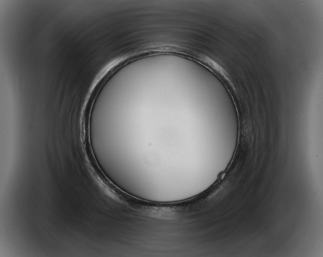 X0000083551082200703021644