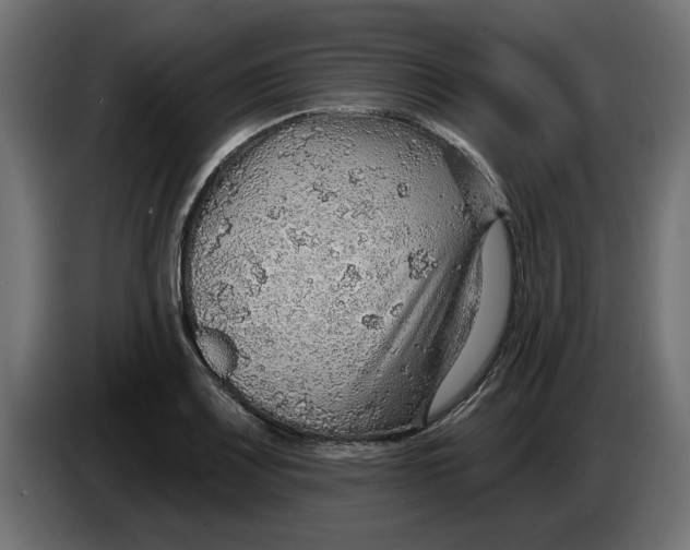 X0000083551083200703021644