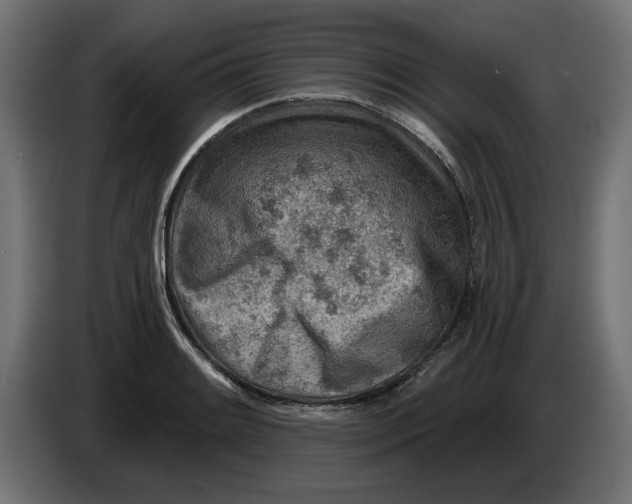 X0000083551084200703021644
