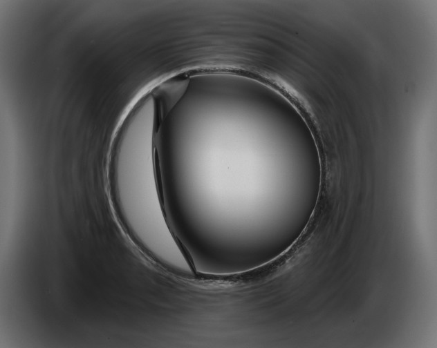 X0000083551085200703021644