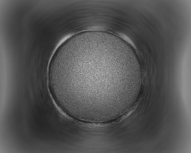 X0000083551087200703021644