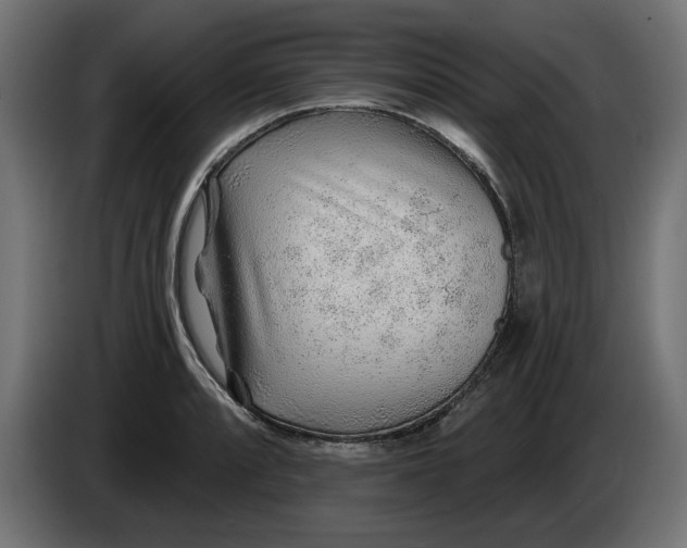X0000083551088200703021644