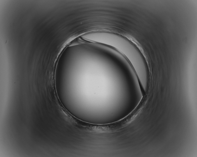 X0000083551089200703021644