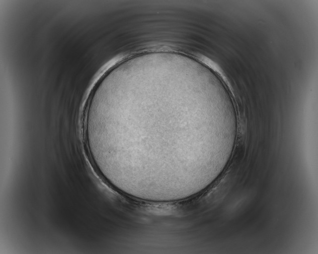 X0000083551090200703021644