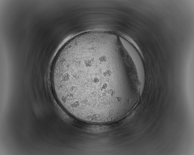 X0000083551091200703021644
