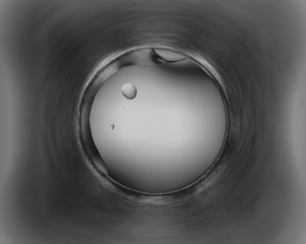 X0000083551093200703021644