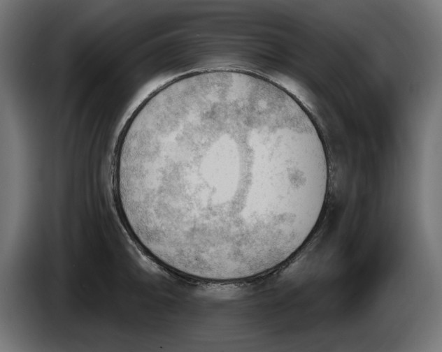 X0000083551094200703021644