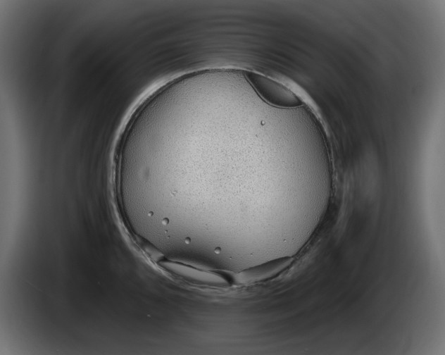 X0000083551096200703021644