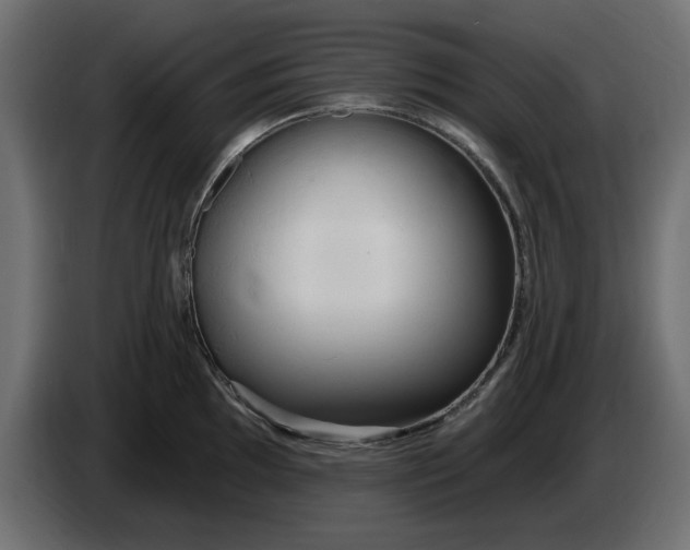 X0000083551097200703021644