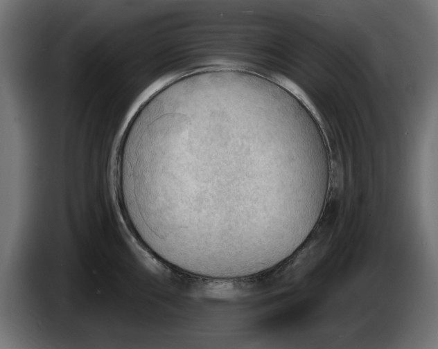 X0000083551098200703021644