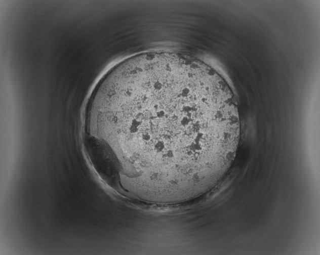 X0000083551099200703021644