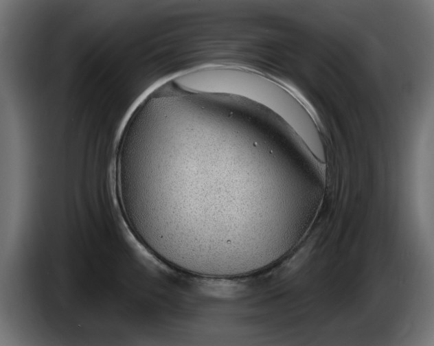 X0000083551100200703021644