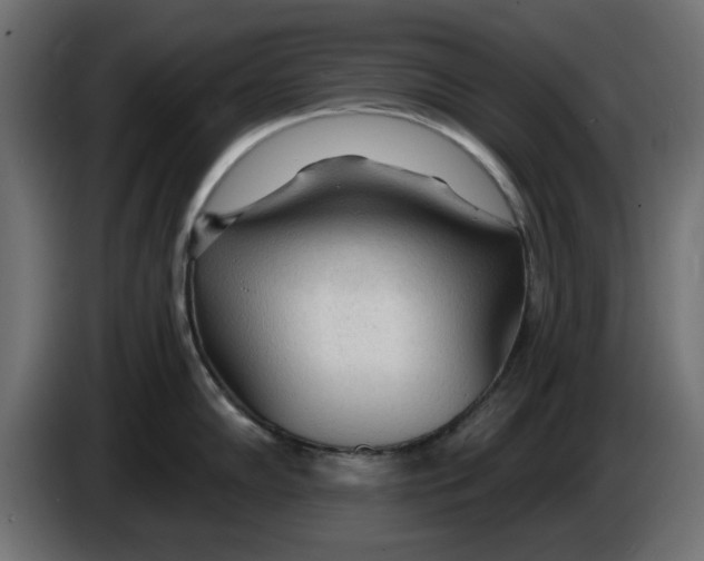 X0000083551102200703021644
