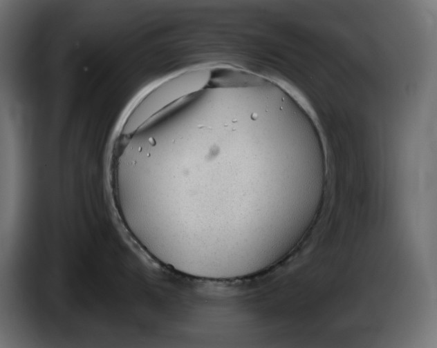 X0000083551104200703021644