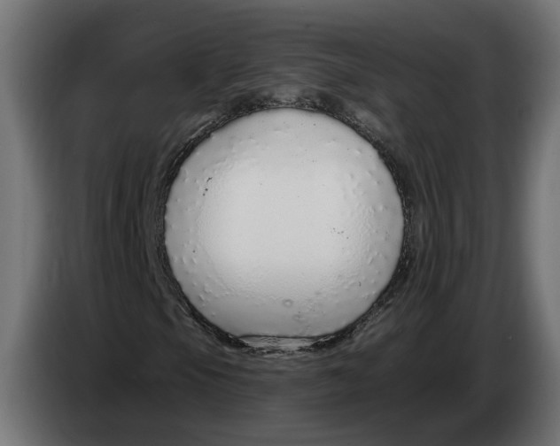 X0000083551105200703021643