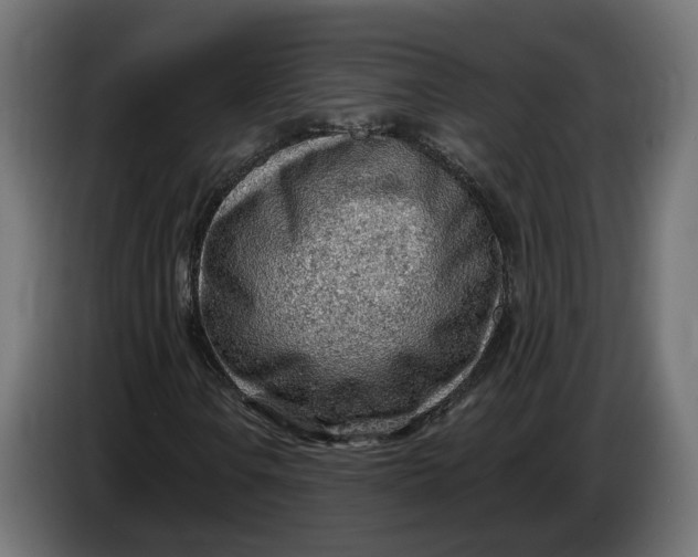 X0000083551106200703021643