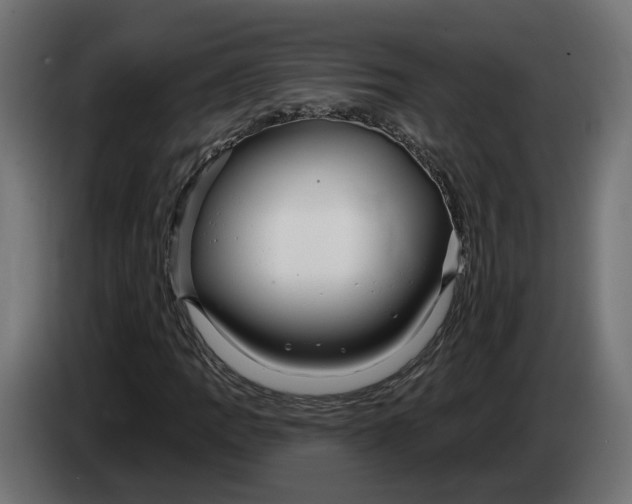 X0000083551109200703021643