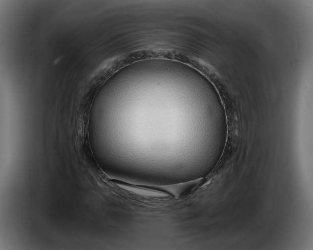 X0000083551110200703021643