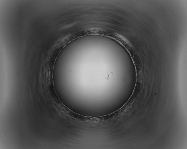 X0000083551111200703021643