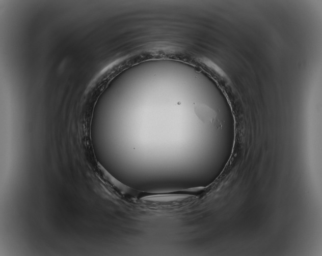 X0000083551112200703021643