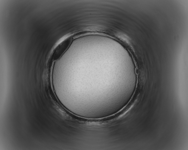 X0000083551114200703021643