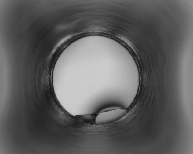 X0000083551115200703021643