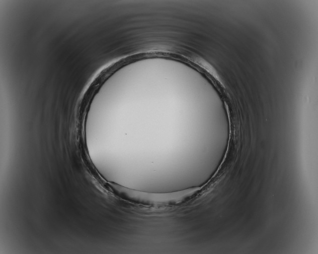 X0000083551116200703021643
