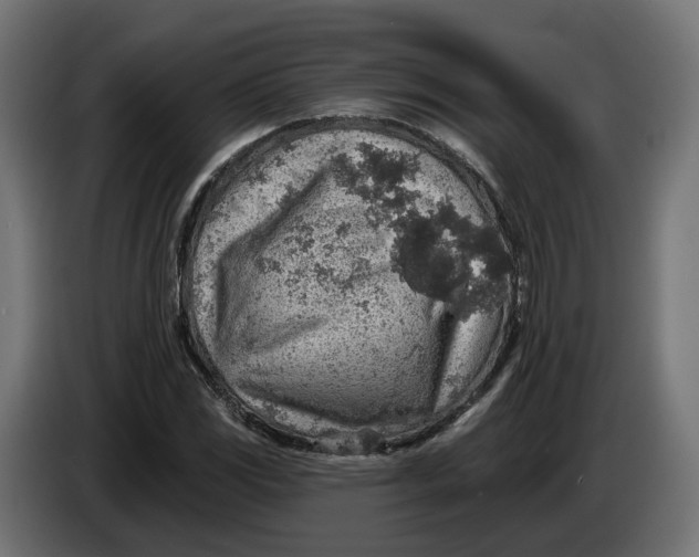 X0000083551117200703021643