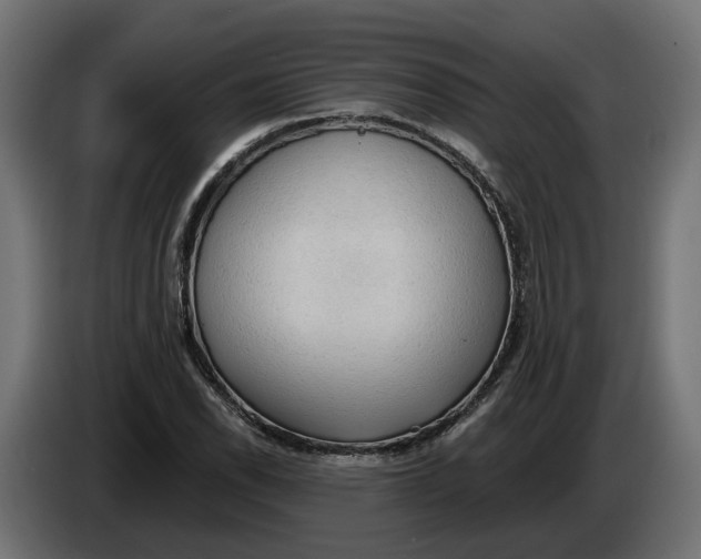 X0000083551118200703021643