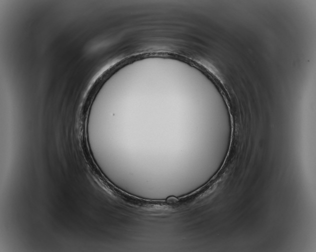 X0000083551119200703021643