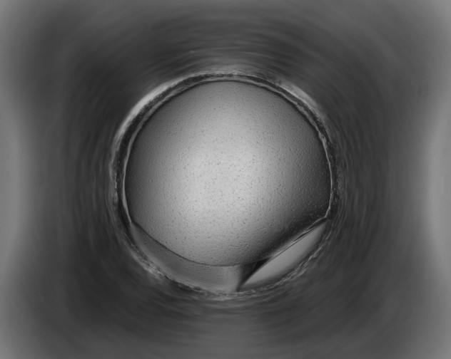 X0000083551120200703021643