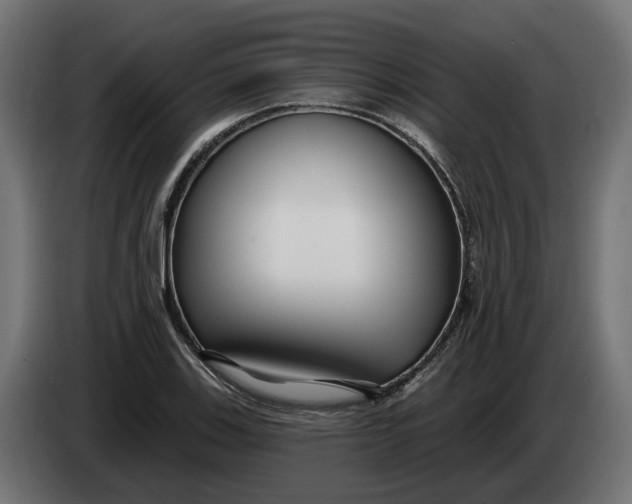 X0000083551123200703021643