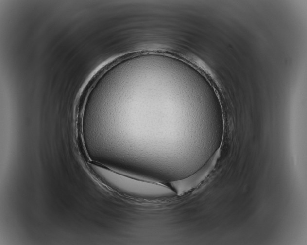 X0000083551124200703021643