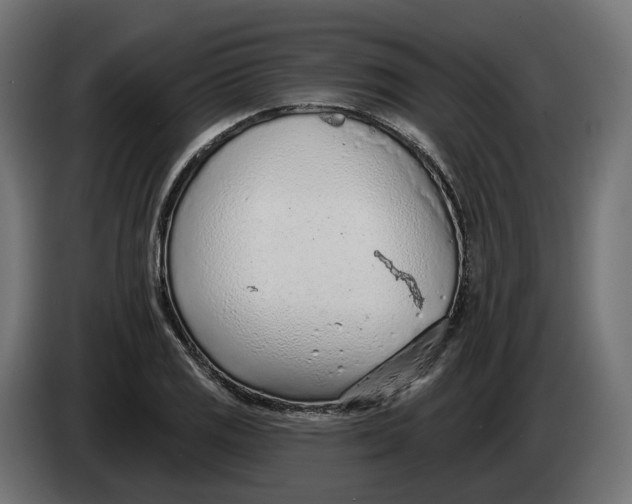 X0000083551125200703021643