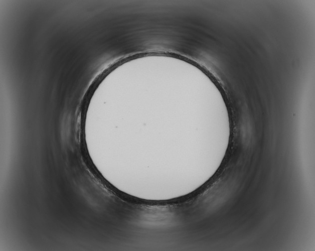 X0000083551126200703021643