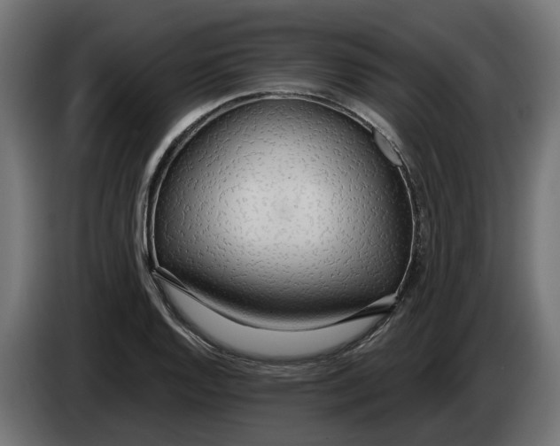 X0000083551128200703021643