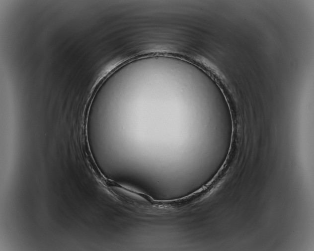X0000083551129200703021643