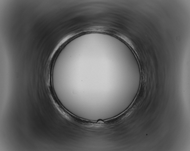 X0000083551131200703021643