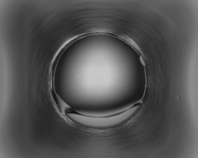 X0000083551132200703021643