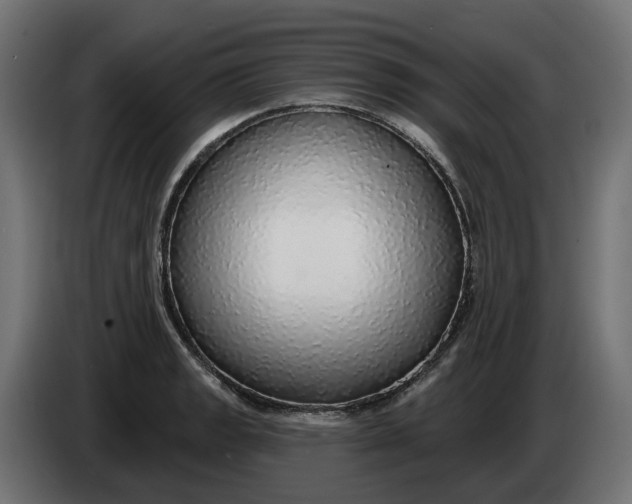 X0000083551133200703021643