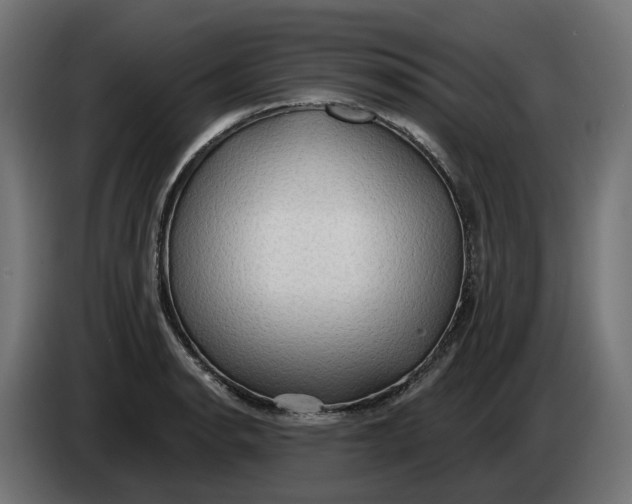 X0000083551134200703021644