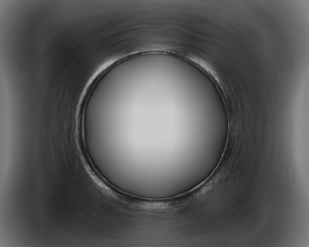 X0000083551135200703021644